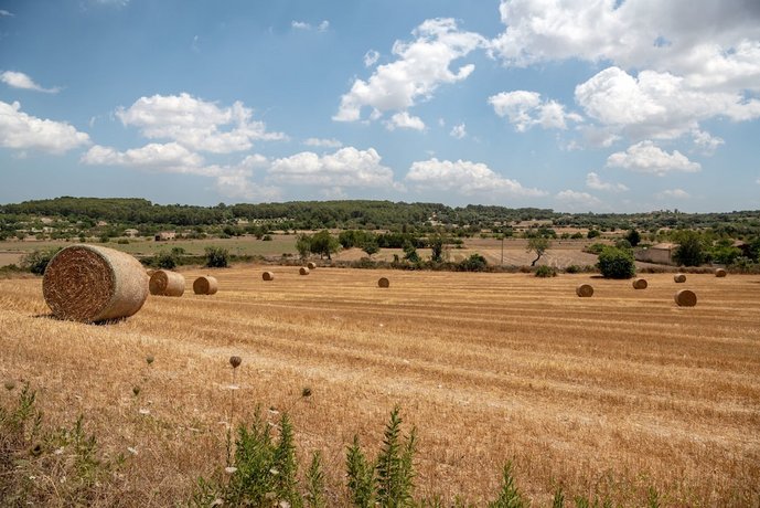 Finca Son Manera