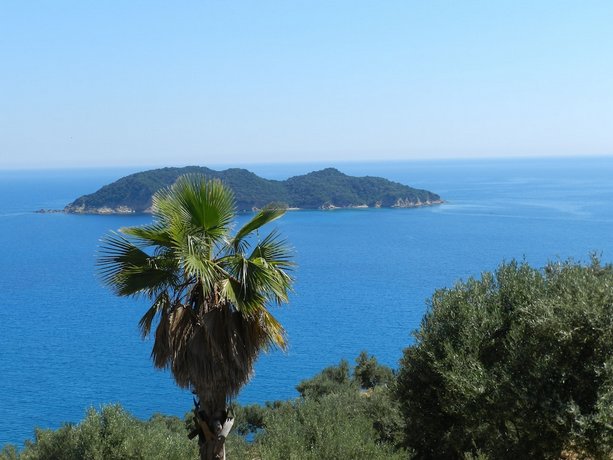 Turtle's nest Zakynthos