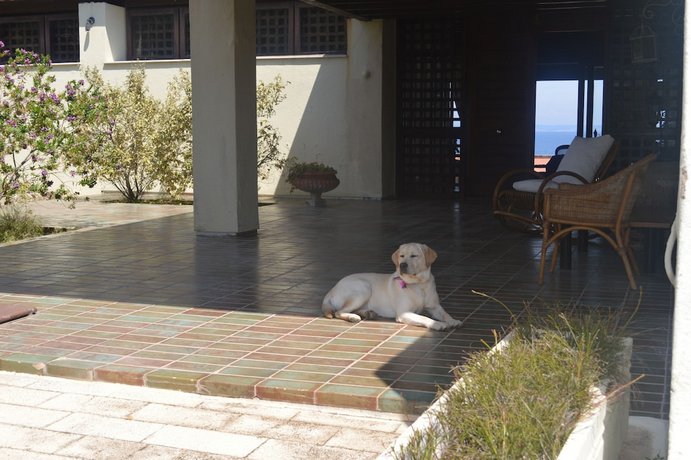 Villa Ammos Vasilikos Zakynthos