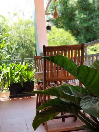 Nika's House