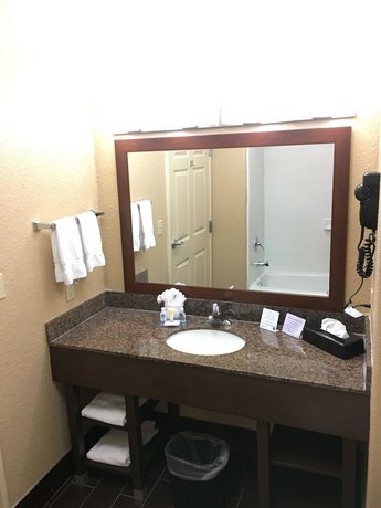 Comfort Inn & Suites Near Six Flags & Medical Center