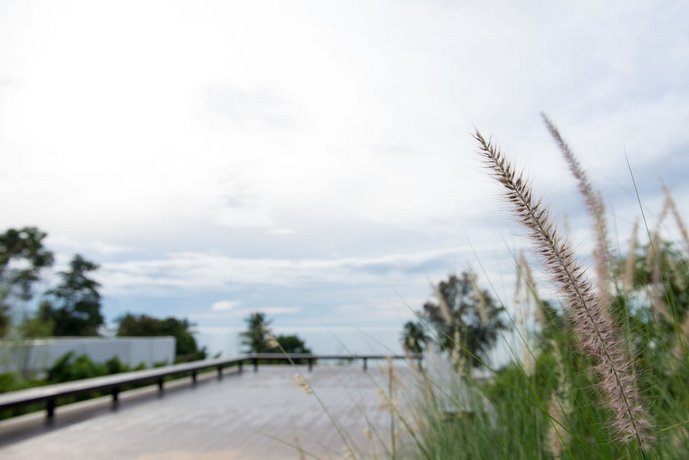 SEAnery Beach Resort