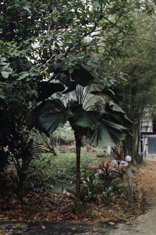 Baan LoyLom SuanAmphawa