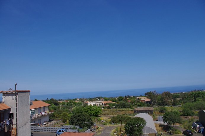 Gli Ulivi Dell'Etna