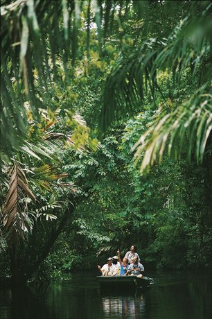 Tortuga Lodge & Gardens