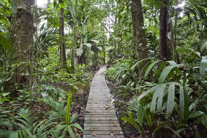 Tortuga Lodge & Gardens