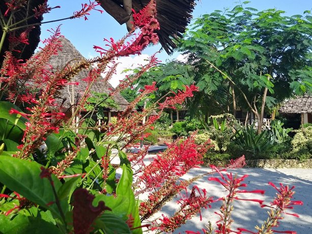 Marafiki Bungalows