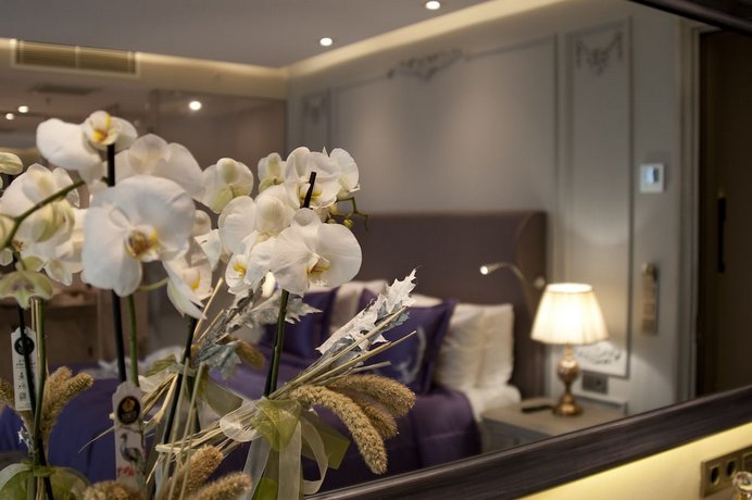 Nupelda Bosphorus Taksim Hotel