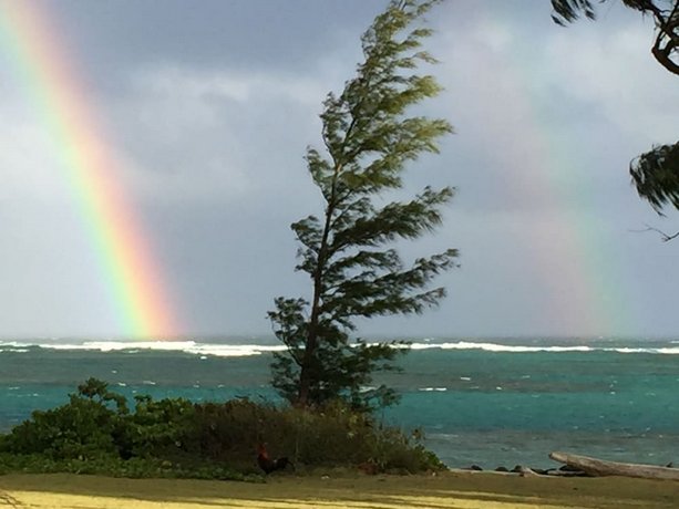 Hotel Coral Reef Kapaa