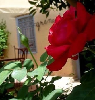 Hotel Dar Zitoune Taroudant