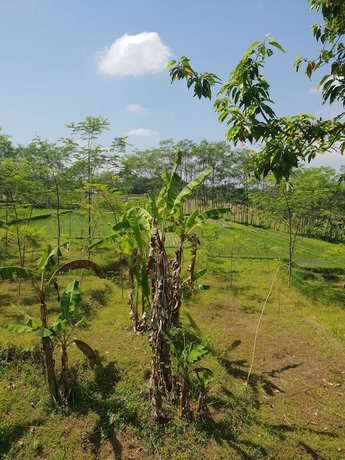 Villa Hati Indah