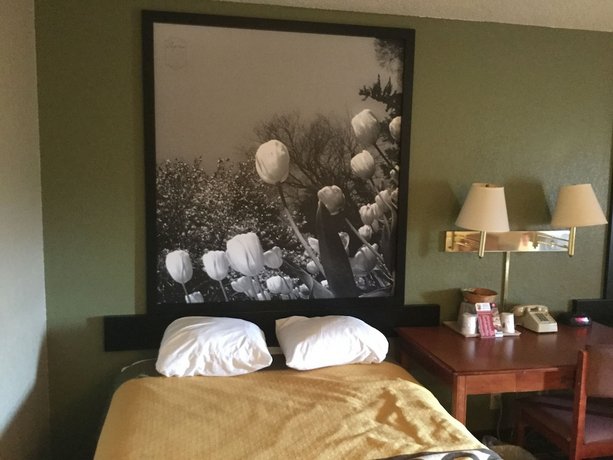 Super 8 by Wyndham Youngstown Austintown
