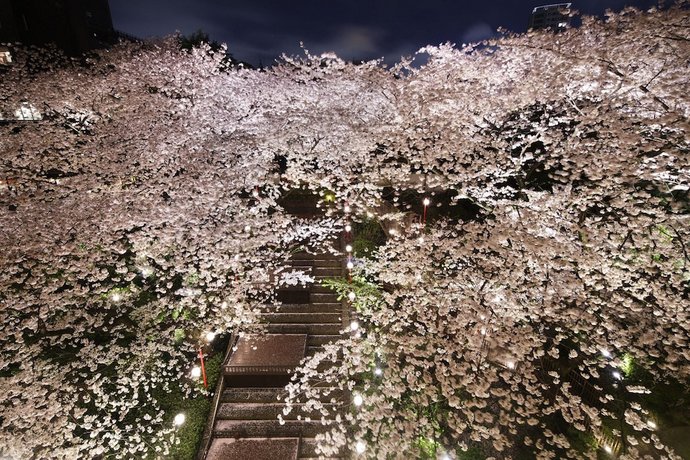 Grand Prince Hotel Takanawa Hanakohro