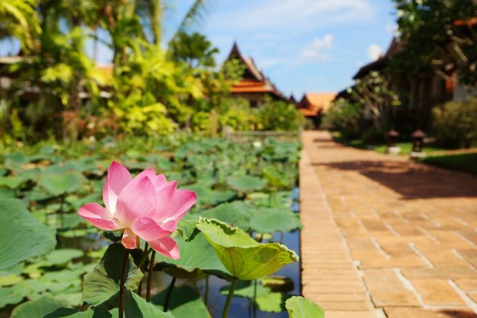 Khaolak Bhandari Resort & Spa