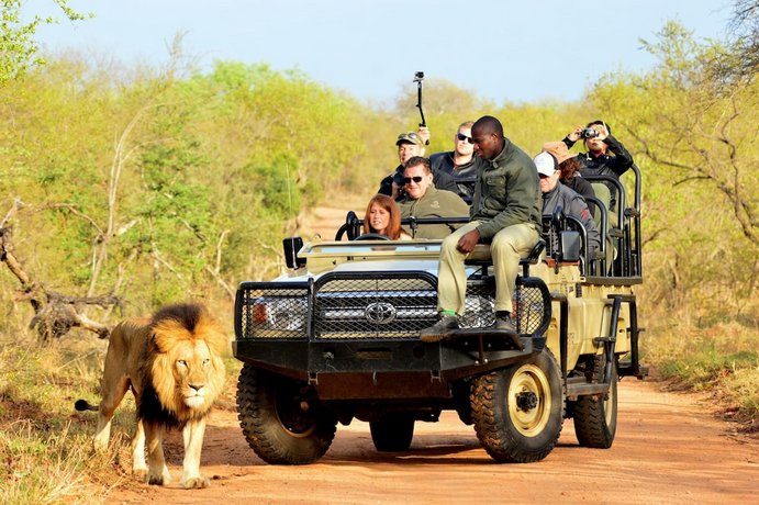 Kapama Buffalo Camp