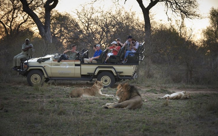 Kapama Buffalo Camp