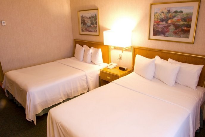 Istay Hotel Monterrey Historico