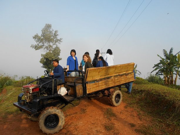 Phu Chaisai Mountain Resort