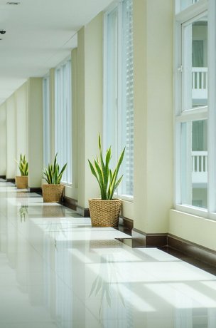 The Platinum Suite