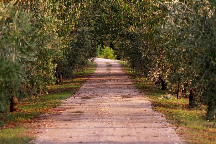 Agriturismo Casagrande