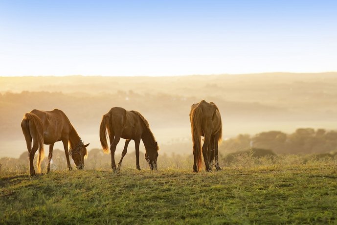 Lelewatu Resort Sumba