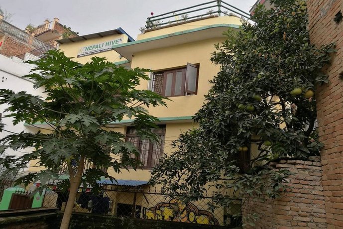 The Nepali Hive