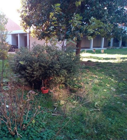 B&B Acquario Rimini