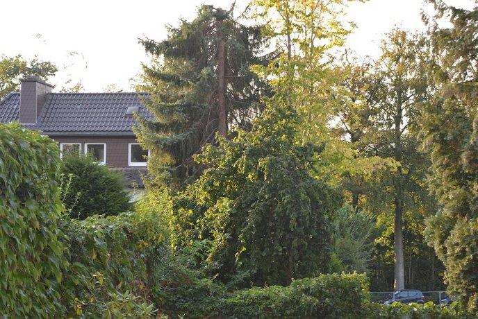 Hotel-Pension Hages