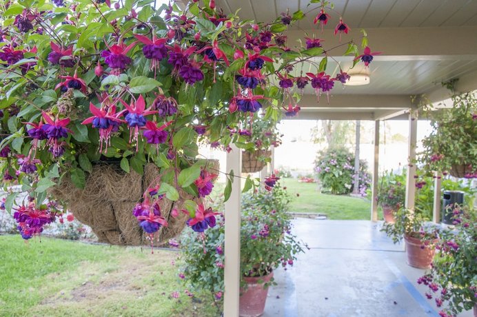 Rose Garden Inn San Luis Obispo Die Gunstigsten Angebote