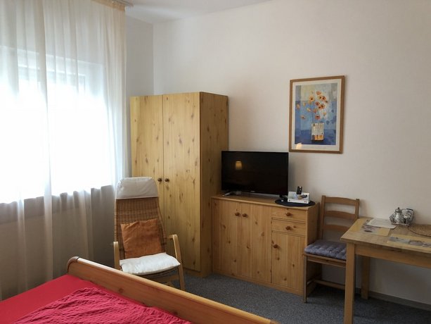 Apartmenthaus Zum Lowen Heidelberg - Ziegelhausen