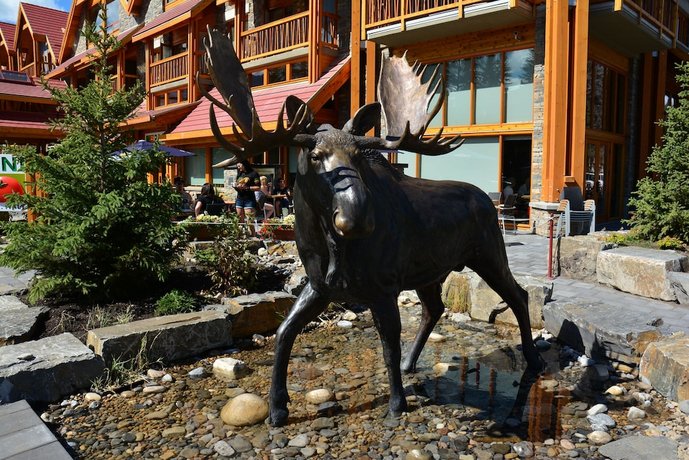 Moose Hotel and Suites