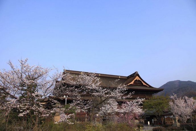 Fujiiso