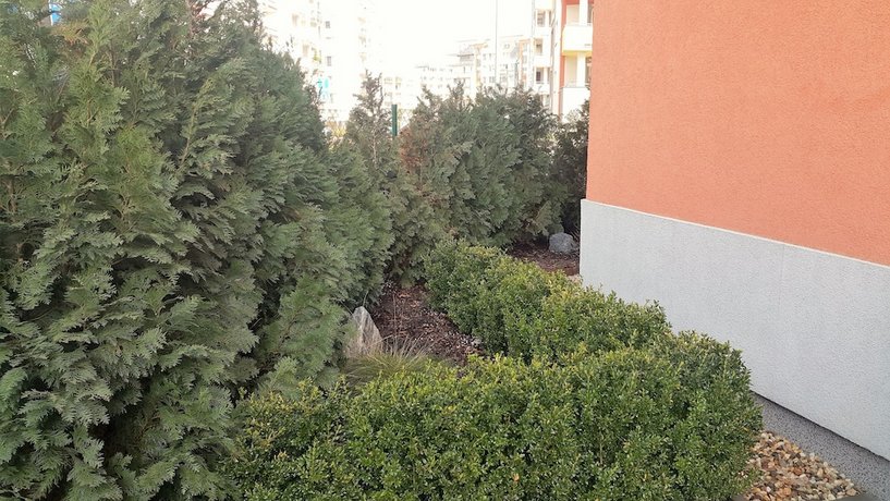 Bastien Studio near Airport