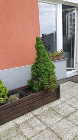Bastien Studio near Airport