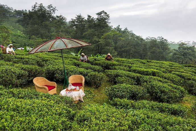 Ging Tea House