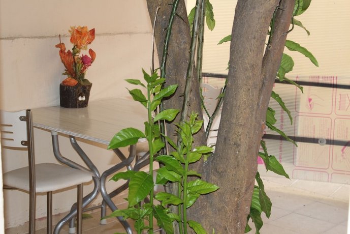 carvan hotel