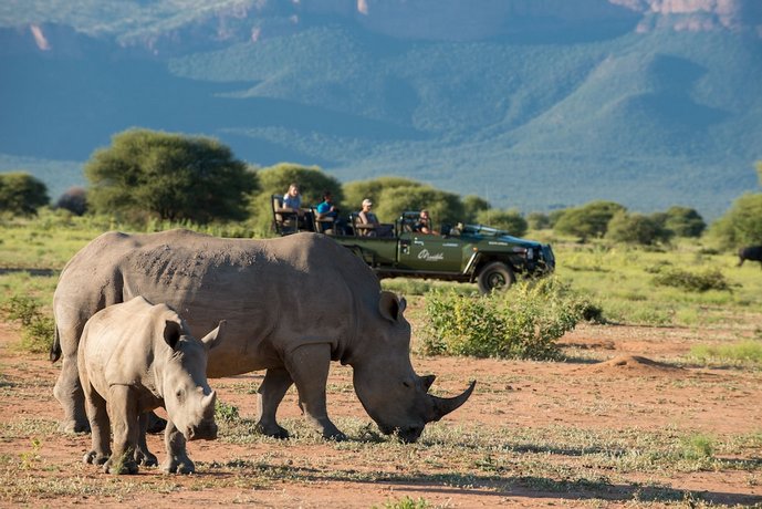 Marataba Safari Lodge