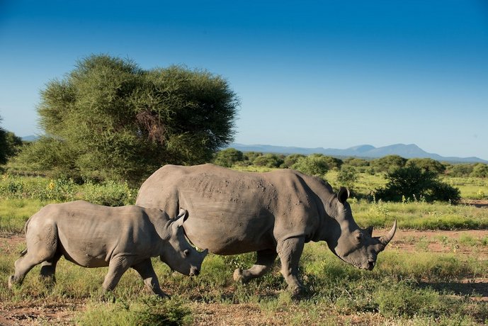 Marataba Safari Lodge