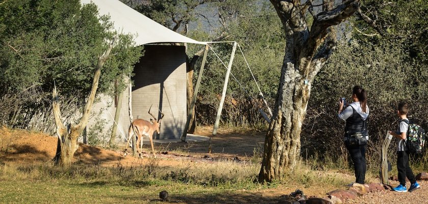 Marataba Safari Lodge