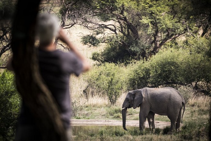 Marataba Safari Lodge