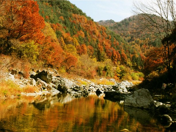 Muju One Mind Pension