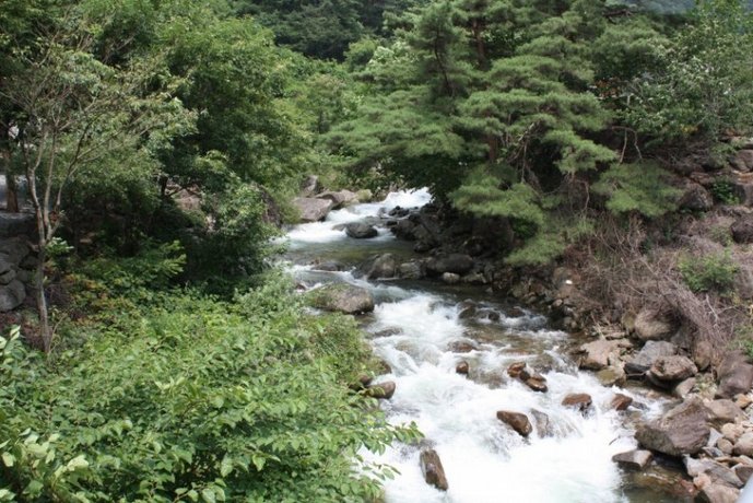 Danyang Blue Pension