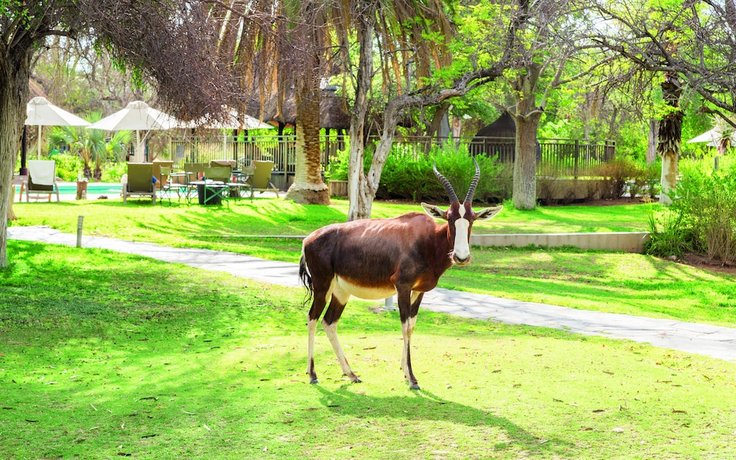Mokuti Etosha Lodge