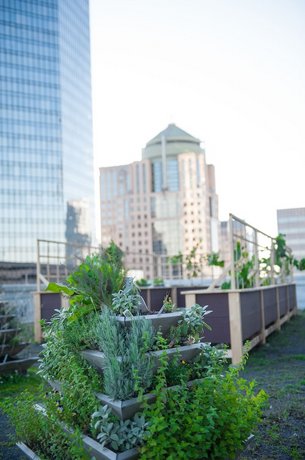 The Ritz-Carlton Charlotte