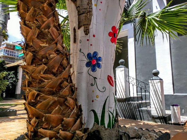 NWT Paradise Urban Hostel