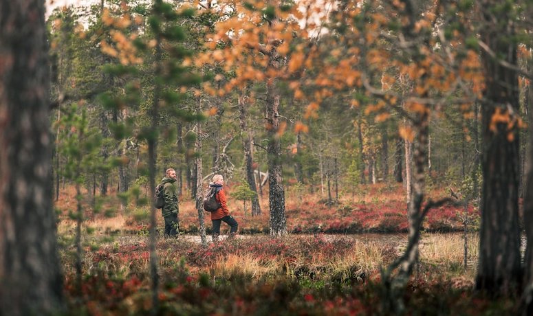 Lapland Hotels Ounasvaara Chalets