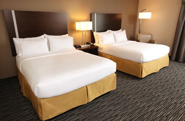 Holiday Inn Express & Suites Omaha South Ralston Arena