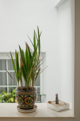 Triana Luxury Home