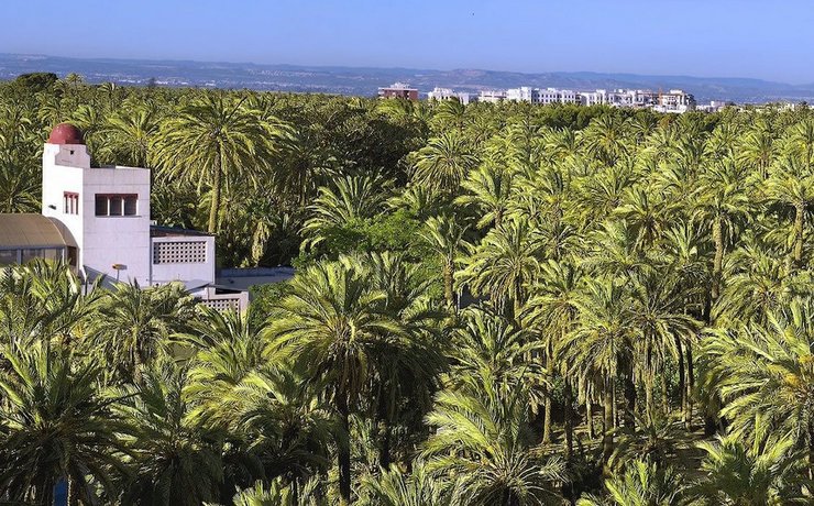 Hotel Areca