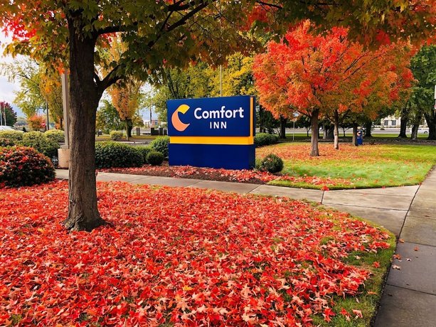 Comfort Inn South-Medford